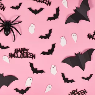 Halloween, Fiesta y Disfraces