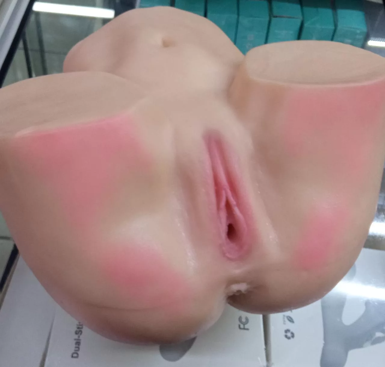 Torso - Vagina, Nalgas, Ano - Image 4