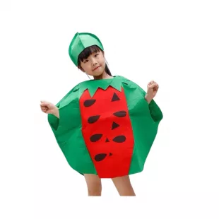 Disfraz Infantil Frutas - Sandía (Unitalla)