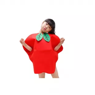 Disfraz Infantil Frutas - Manzana (Unitalla)