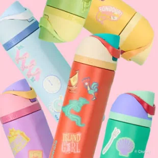 Botella Tipo Owala - Princesas Disney (24oz) ✦ Bajo pedido
