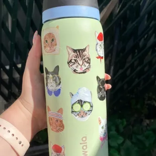 Botella Tipo Owala - Gatos (24oz, 32oz) ✦ Bajo pedido